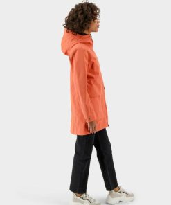 Perrybrooking.shopd41303ed9d 5